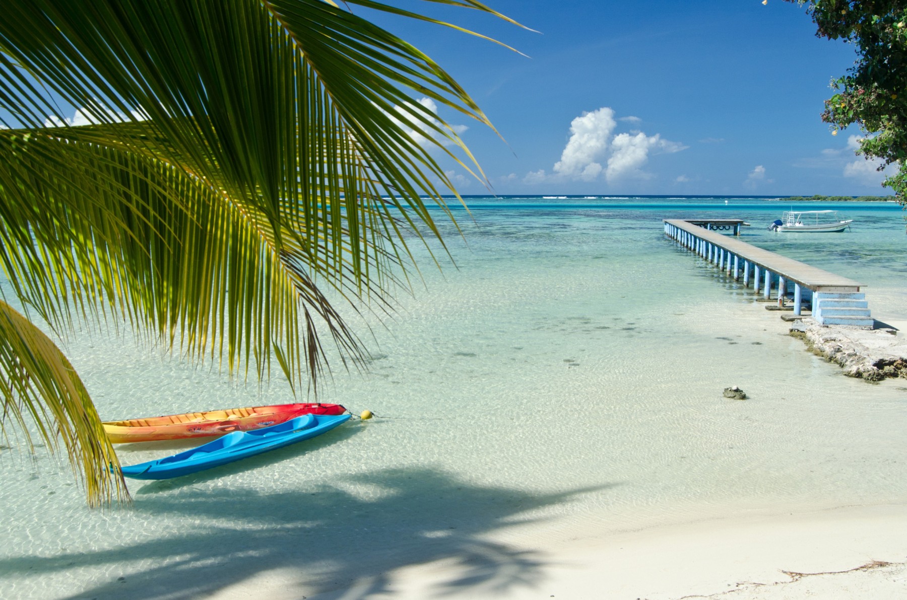 Pension Les Tipaniers